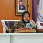 BLT BBM, Bantuan Kemensos, Bantuan Baru, Bantuan Sosial Baru, Bantuan Langsung Tunai, Kemensos, Mensos,