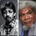 Dedi Sitorus, kasus HAM Indonesia, Munir Said Thalib, Theys Hiyo Eluay, Natalius Pigai, pelanggaran HAM, Andre Yunus, isu HAM Indonesia